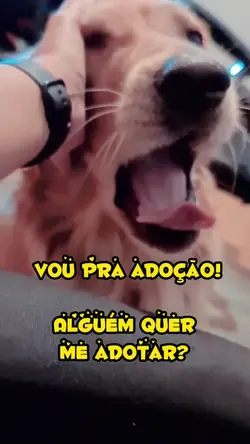 Vou pra adoção!!! 