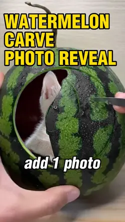 Watermelon reveal