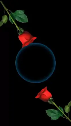 rosas