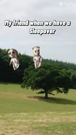 Sleepover 