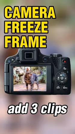Camera freeze frame