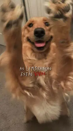 luto