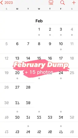 Aesthetic February