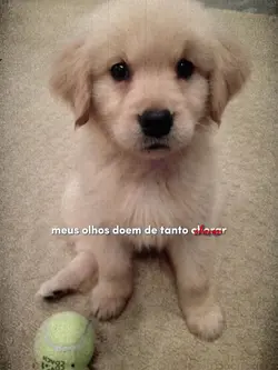 Eu não consigo ! 