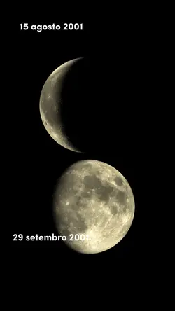 Trend Lua 🌓