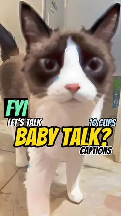 Baby talk with cats