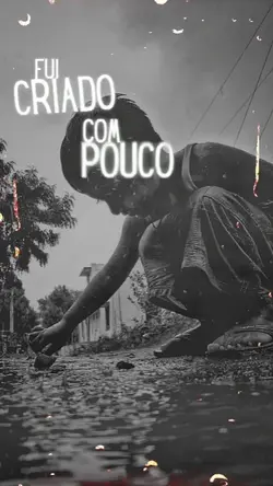 A frase do dia é: