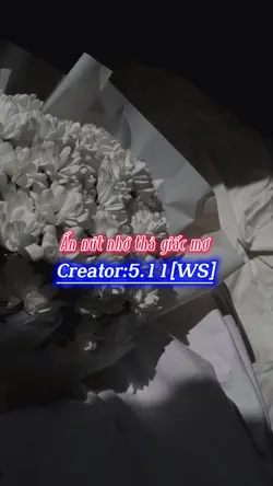 Mẫu 24 ảnh 