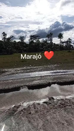 solinho do Pará 