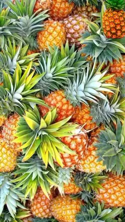 foto fruta 