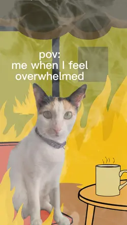 this is fine meme