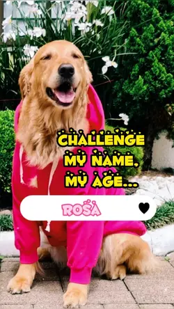 My name, my age