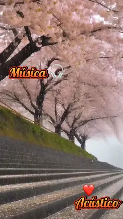 Música 🎧 