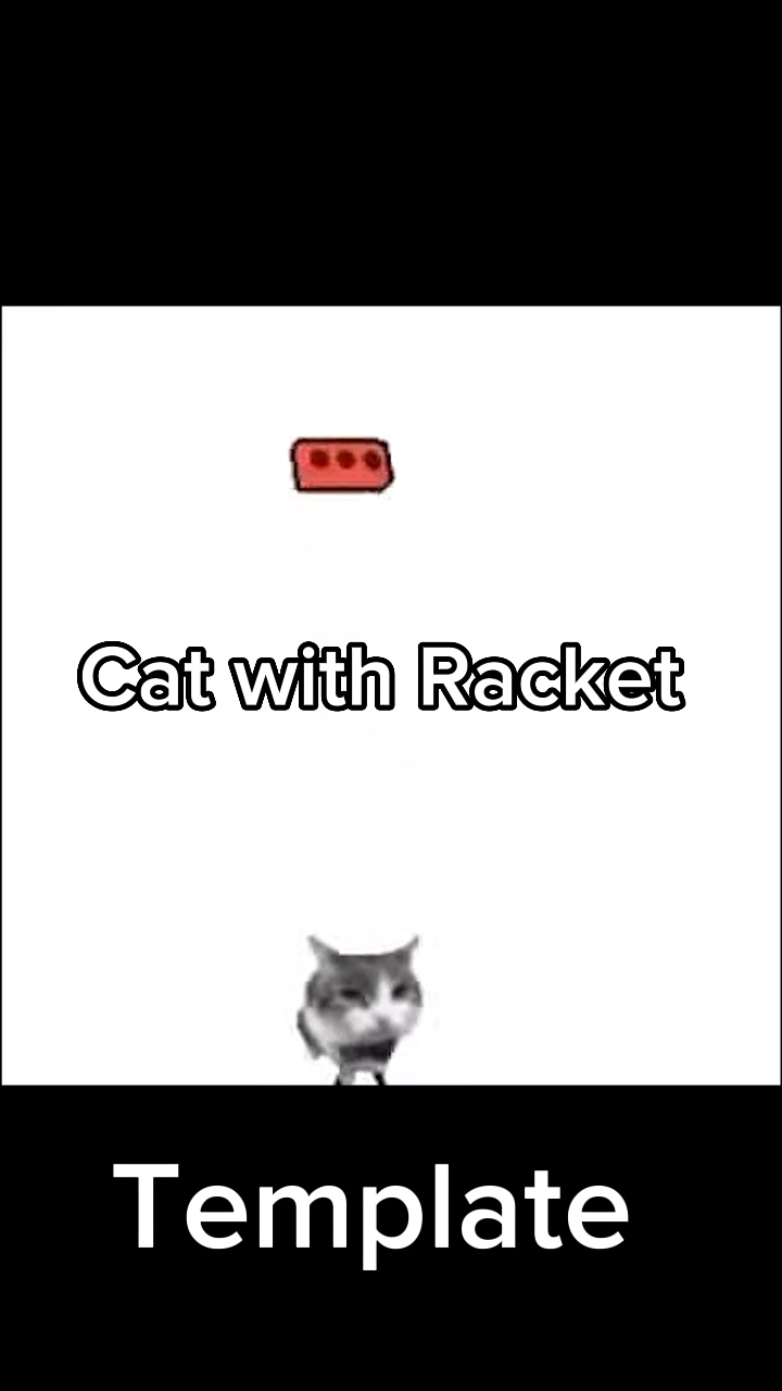 Cat with Racket - video template by CapCut