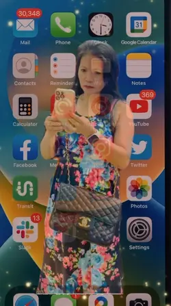 Vergs AppleProduct