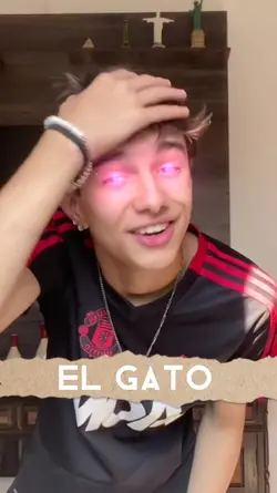 EL GATO | Trend