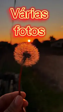 fotos rápidas 