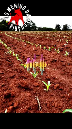 nos é agro 