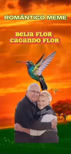 Beija flor MEME 