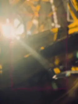 Bumblebee