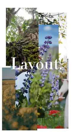 LAYOUT STORIES