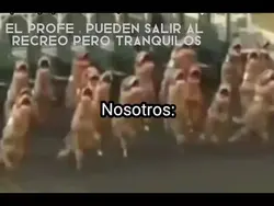 mi salón