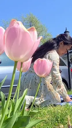 Tulip mini vlog