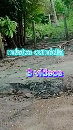 Música comédia 
