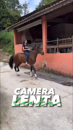 edit cavalo