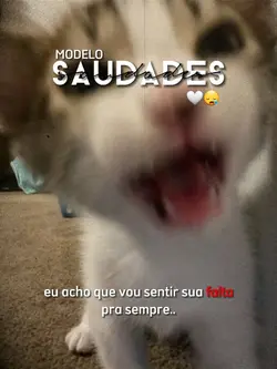 sente sdds de algm?