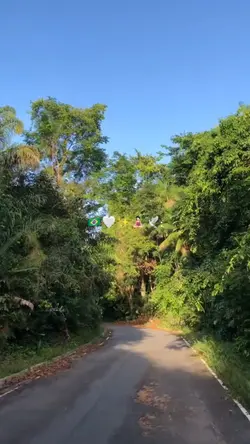 paisagens | trend