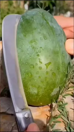 Fruta manga 