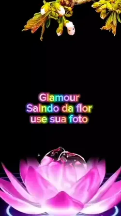 Saindo da flor z7