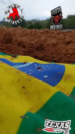 sertanejo 