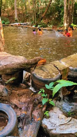 Natureza