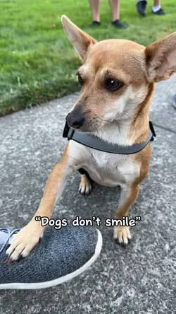 You’ve got a smile 😃