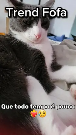 Está Crescendo 