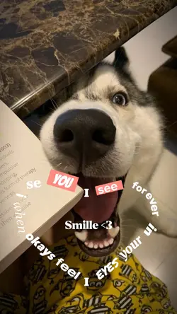 FAVORITE PET 🐶❤️