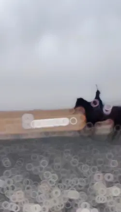 3ft jump!