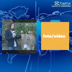 tarado de jumenta