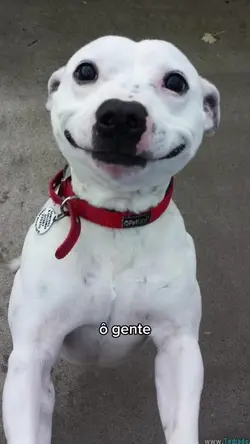 vocês sabiam?