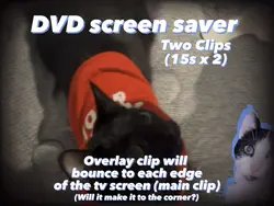 DVD loading screen 📀
