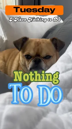 Nothing To Do