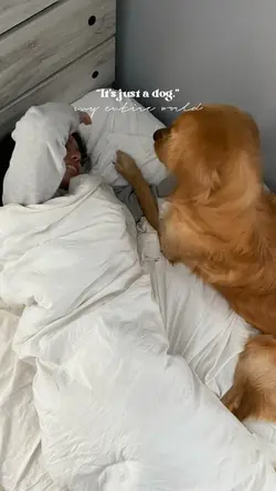 “he’s just a dog.”