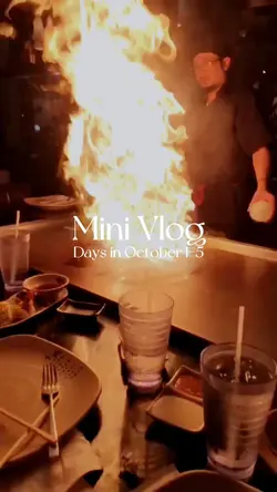 Vlog Style