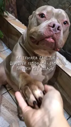 trend tiktok🥺🤏🏼