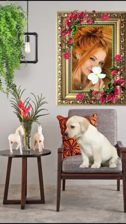 QUADRO DE FOTO