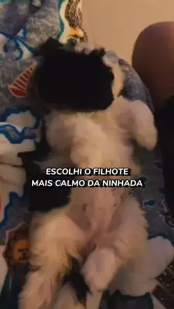Muito fofo kkkk
