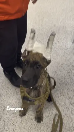 BOO!!