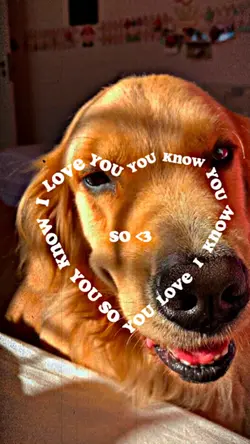 I Love You Pet💛